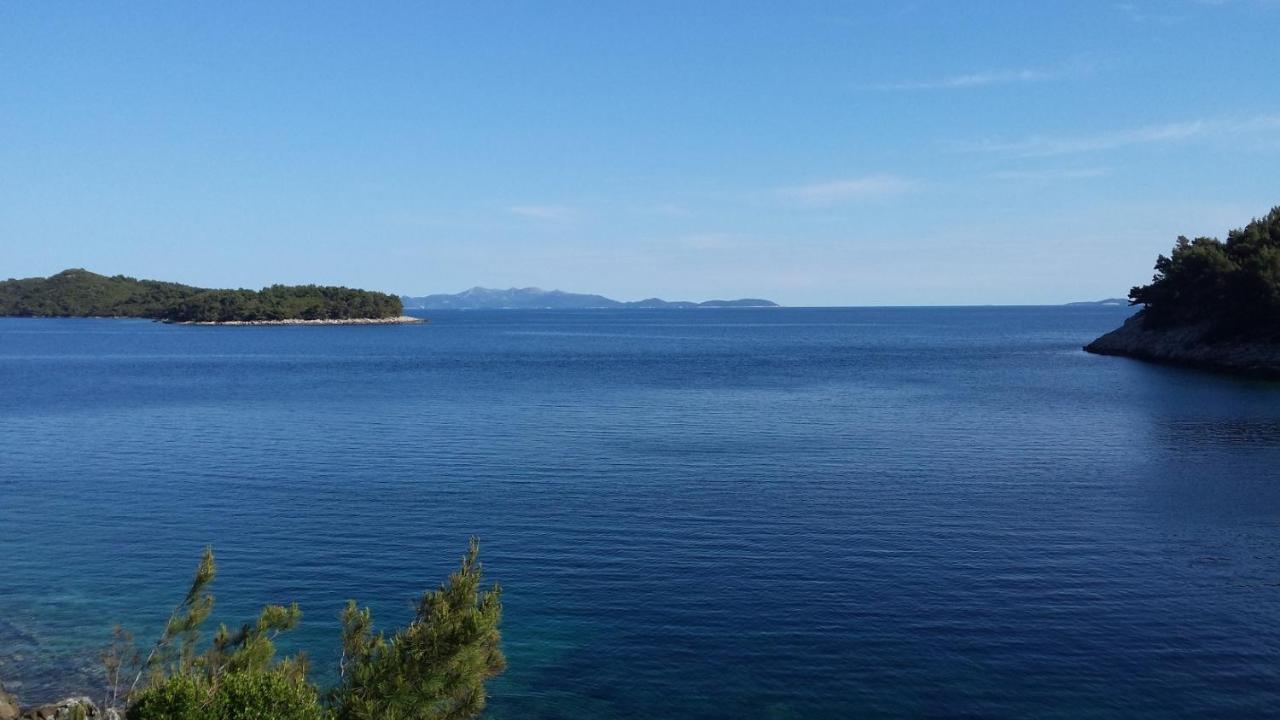 Apartments By The Sea Cove Zaglav, Korcula - 12208 Прижба Экстерьер фото